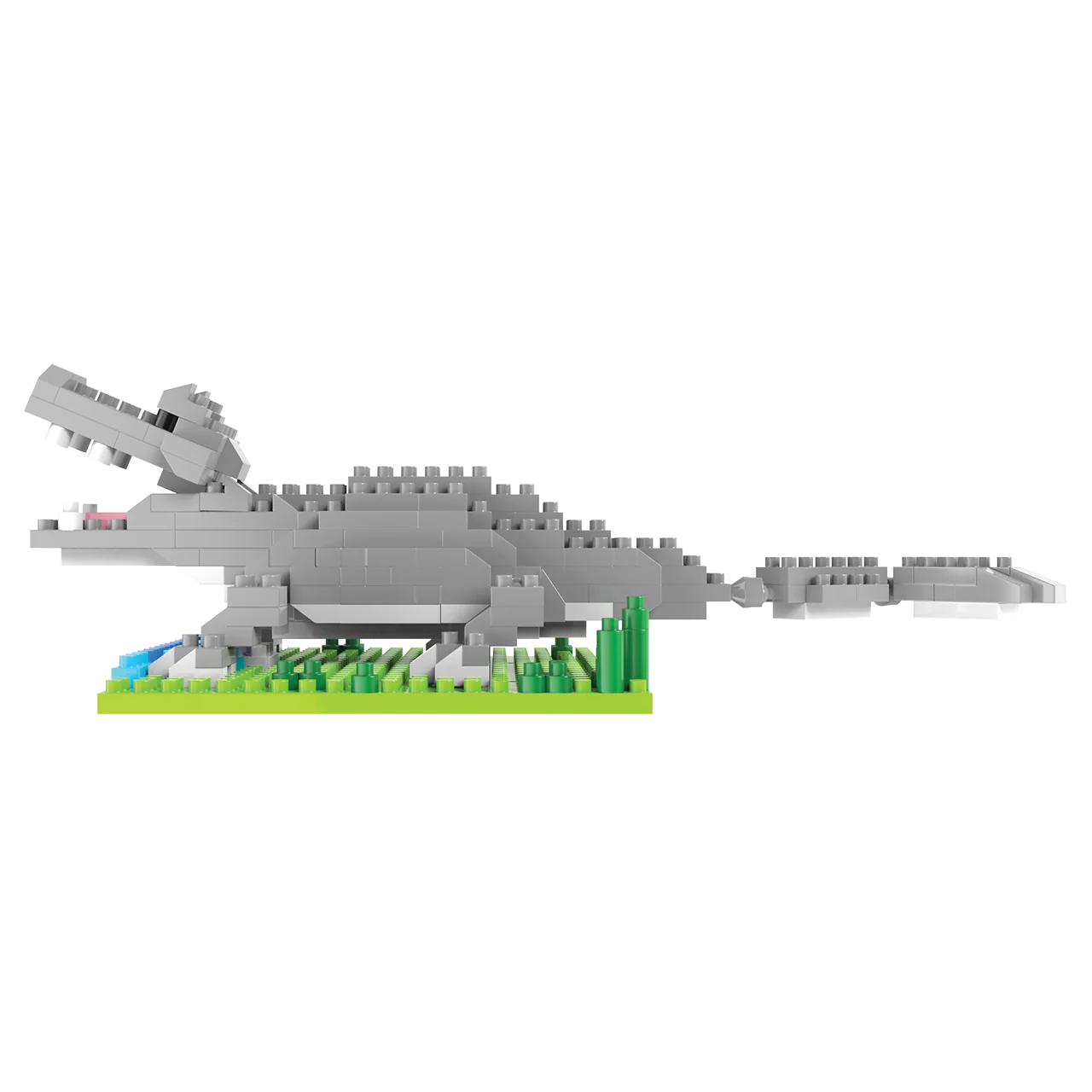 Alligator - Image 2
