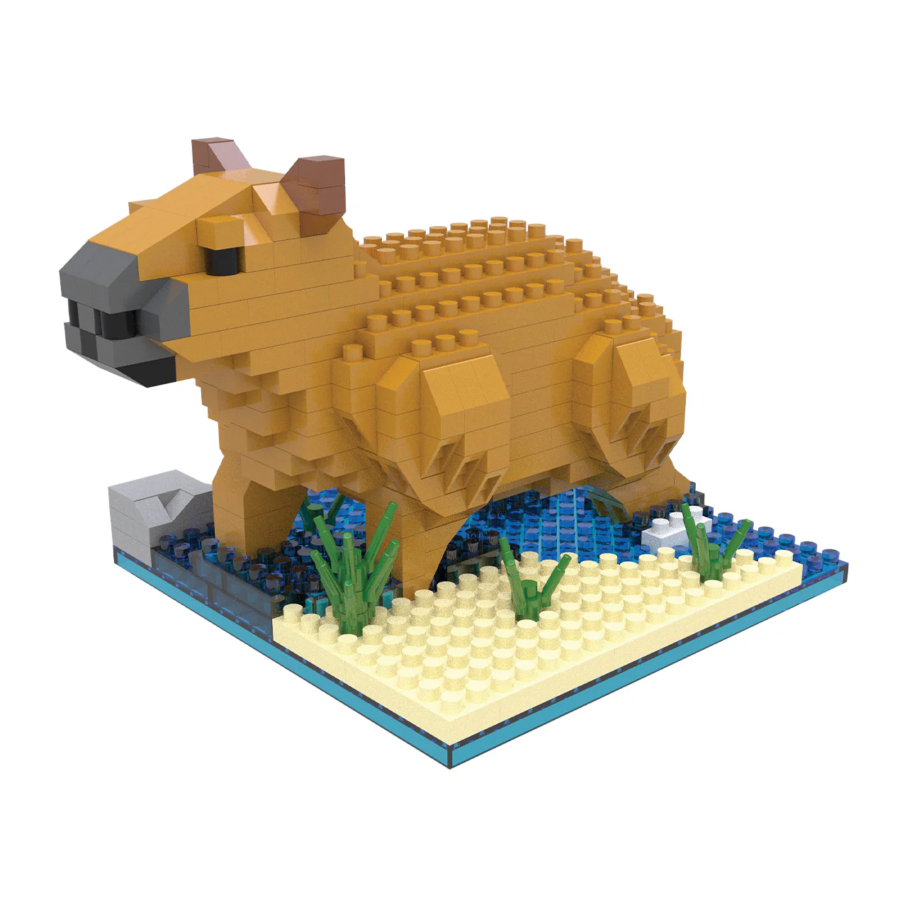 Capybara - Image 2