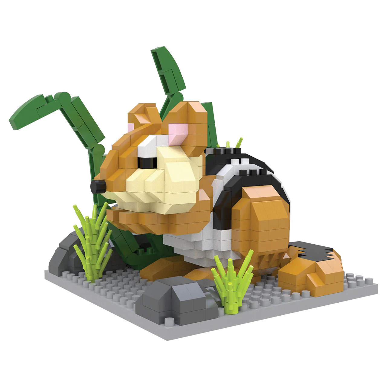 Chipmunk - Image 2