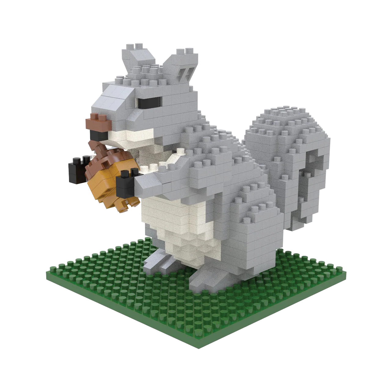 Gray Squirrel - Image 2