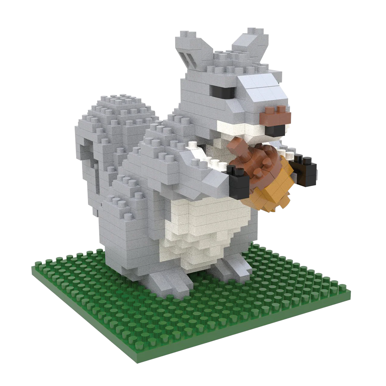 Gray Squirrel - Image 4