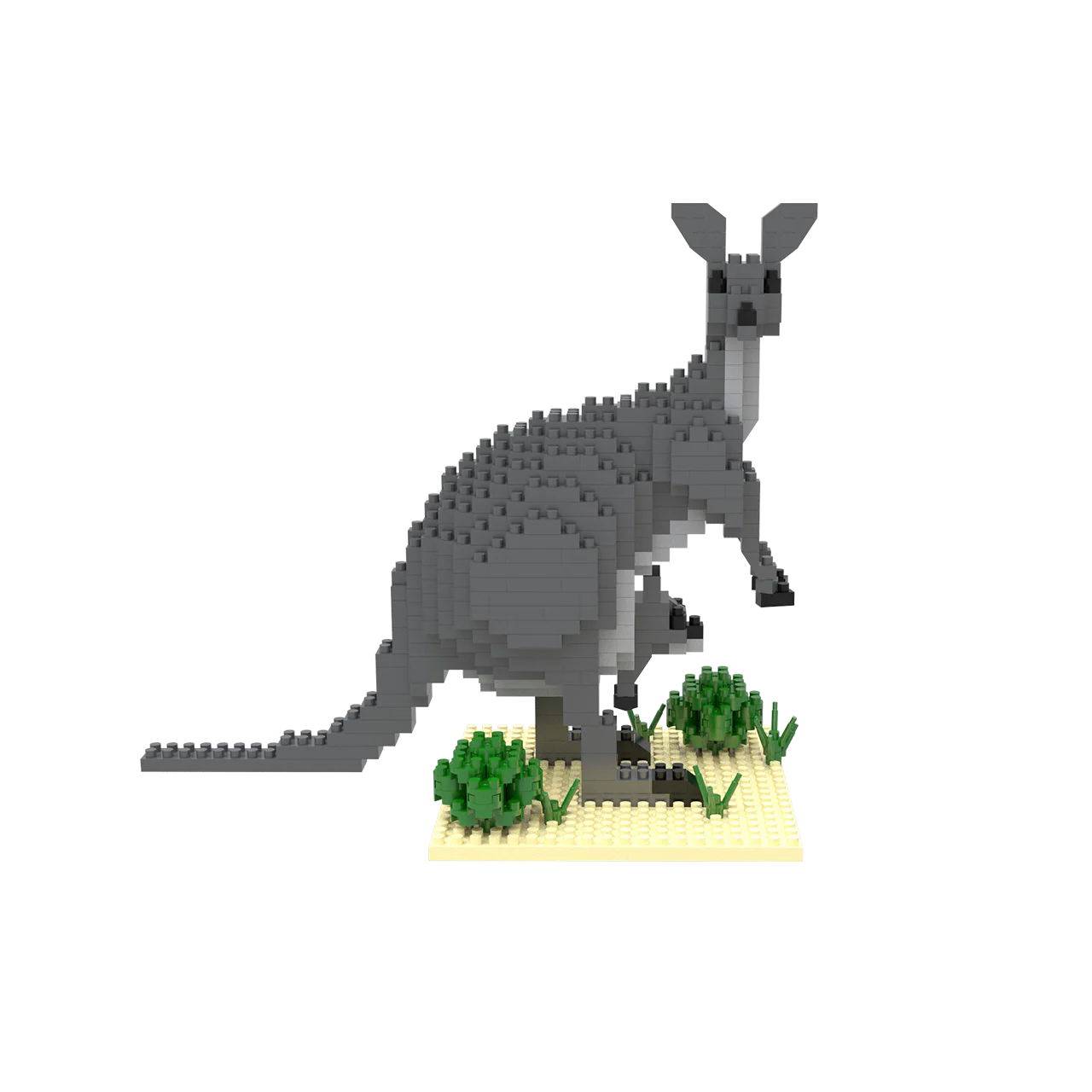 Kangaroo - Image 3