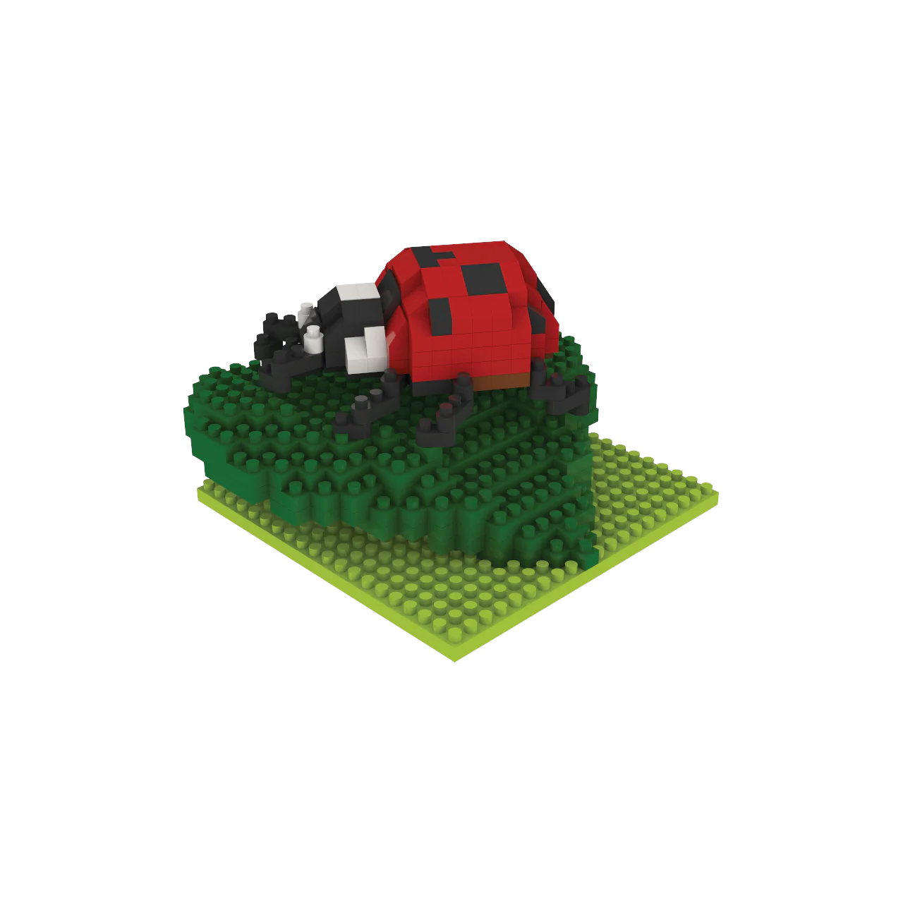 Ladybug - Image 2
