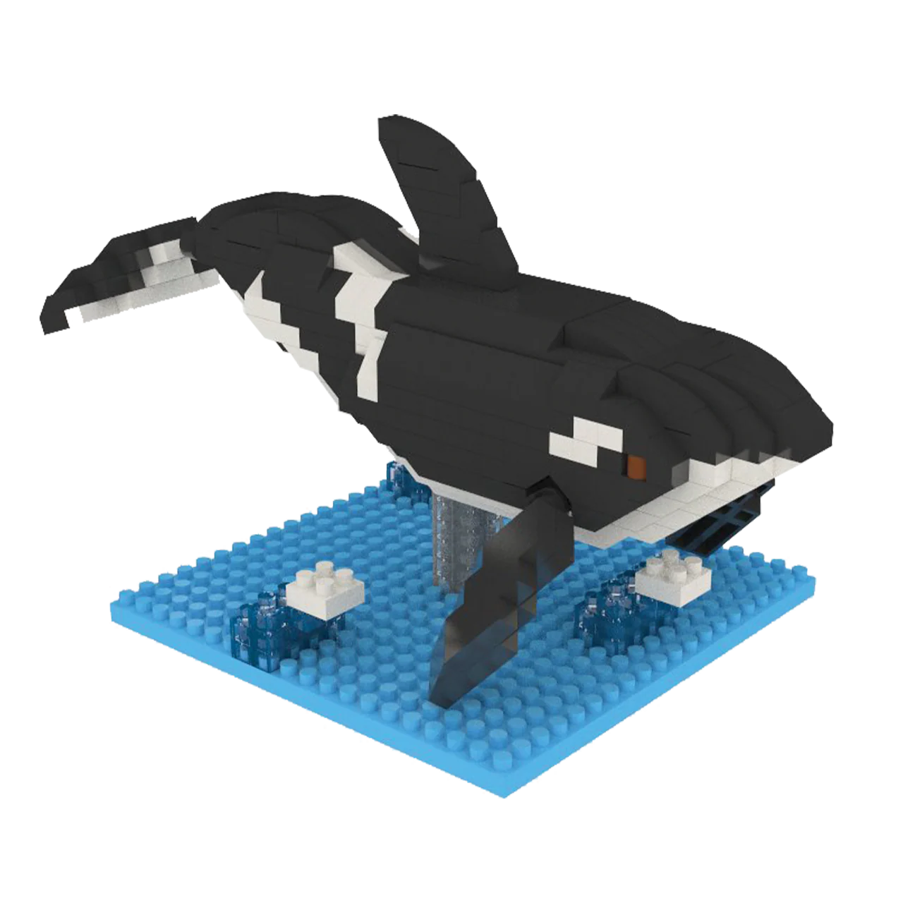 Orca - Image 4