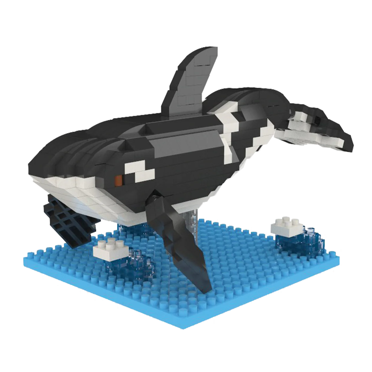 Orca - Image 5