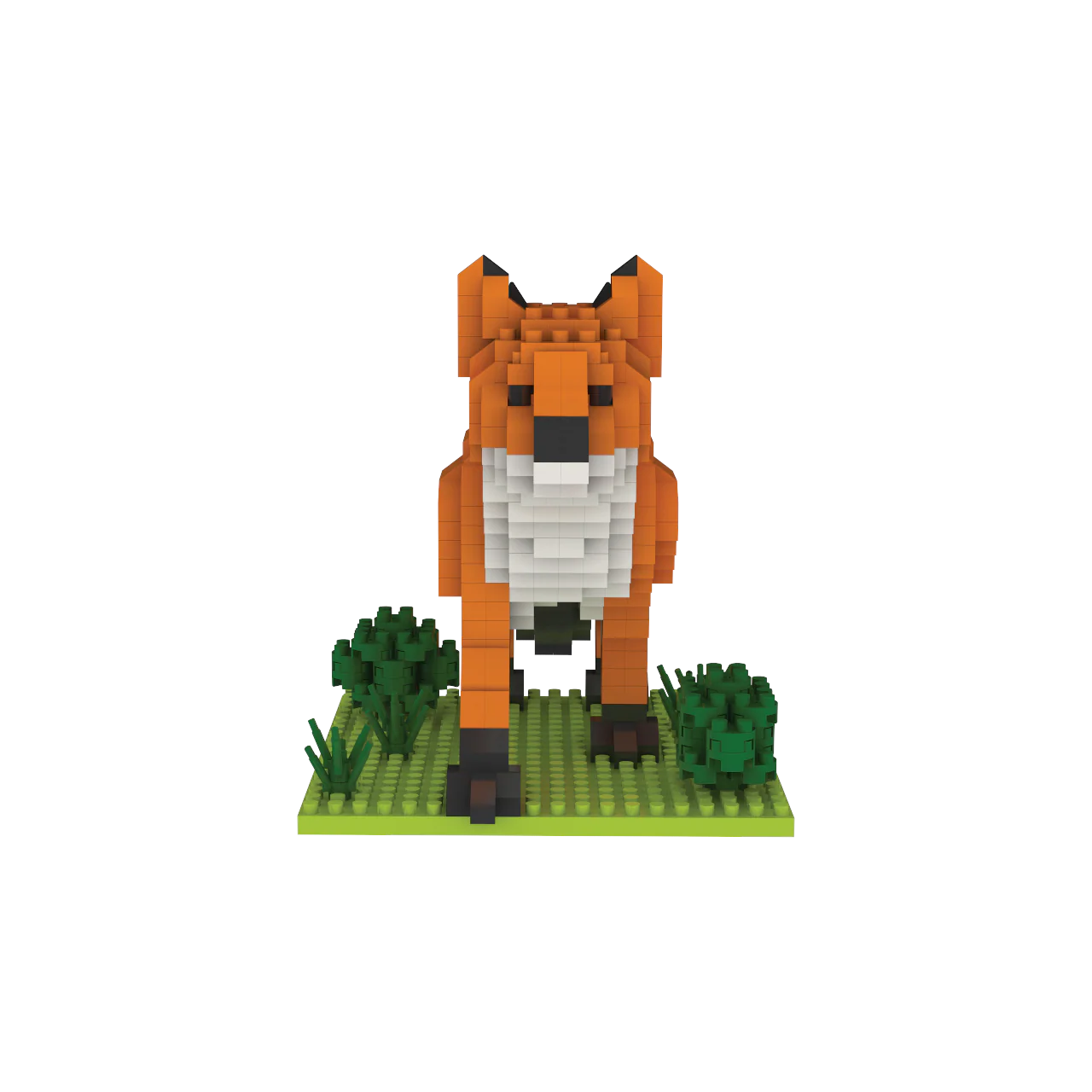 Red Fox - Image 2