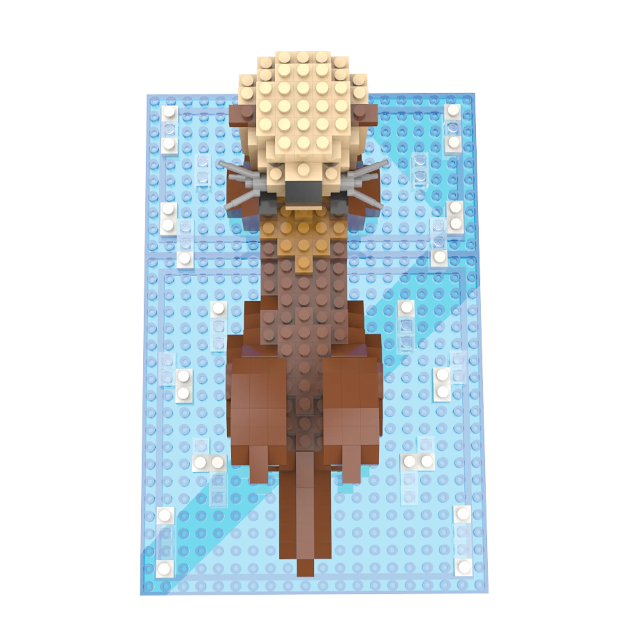 Sea Otter - Image 5